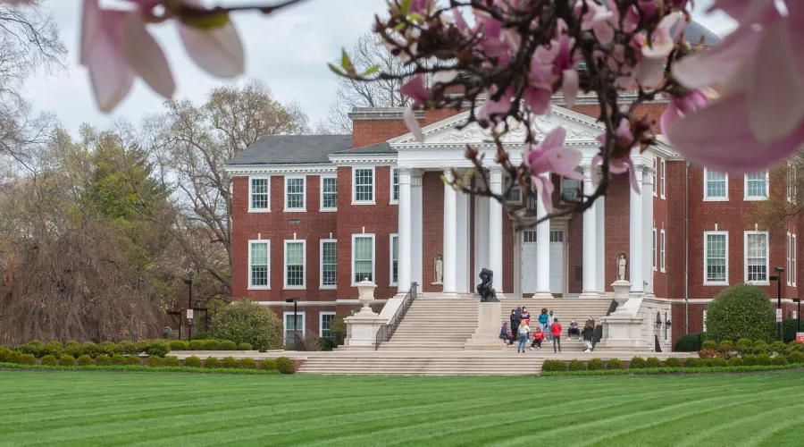 A group of people in the distance on the stairs of Grawmeyer Hall next to the Thinker statue, through spring blooms