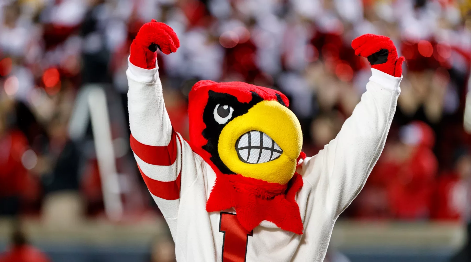 Louie the Cardinal Bird mascot cheering in front of a crowd