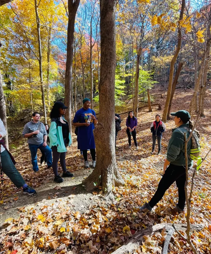 A group of seven hikes through a forest with vibrant autumn leaves. They wear casual outdoor clothing.